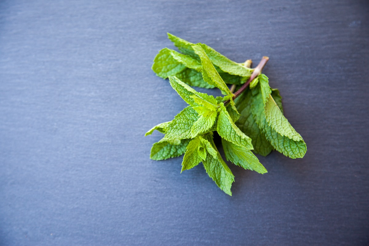 Té de hinojo